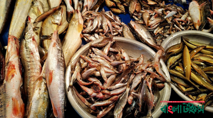 বাজারে এখন ২০০ টাকা কেজির নিচে কোনো মাছ নেই